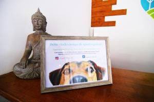 Apartamento Equitare Rural na Serra de Lousã