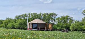 Jurta wkoło zielono