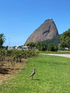 Apartamento no Flamengo