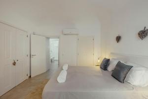 Charming Apartment Evora