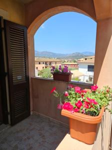 La Stella Marina img88