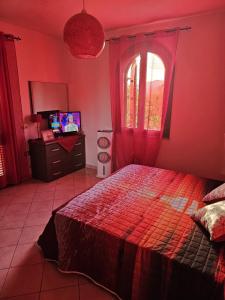 La Stella Marina img44