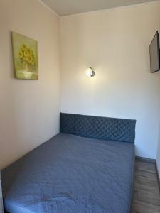 Софиевская