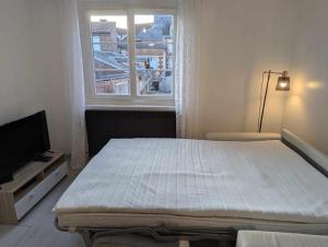 Appartements Superbe Duplex en plein coeur de Crepy-en-Valois : Appartement 1 Chambre