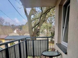 Noclegi Apartament Jodłowa