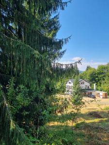 Cabana de închiriat la Colibița Straciorul