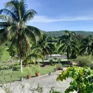 Countryside Lodge - Caley