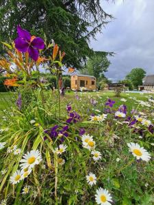 lescale de Normandie