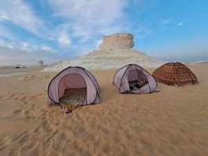 White Desert Safari Trips in Bahariya Oasis