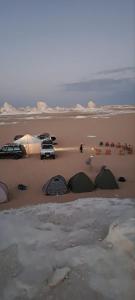 White Desert Safari Trips in Bahariya Oasis