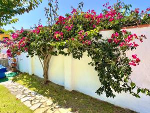 Casa do Candeeiro
