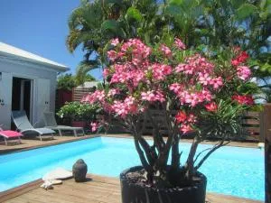 Villa créole zen - Richeplaine