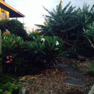 Garden Oasis at Banana Hale Studio