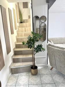 Appartements Maison Perle rare 2 Le cosy de l-aeroport CDG : photos des chambres