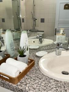 Appartements Maison Perle rare 2 Le cosy de l-aeroport CDG : photos des chambres