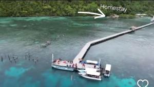 Raja Ampat Tapordura Homestay