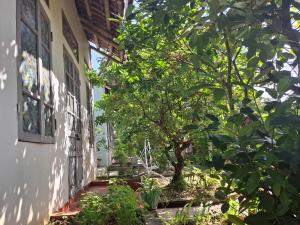 Phòng Giường Đôi Nhìn Ra Vườn (Double Room with Garden View)