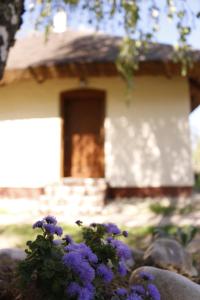 Two-Bedroom Apartment room in Őrségi Lak-Tanya