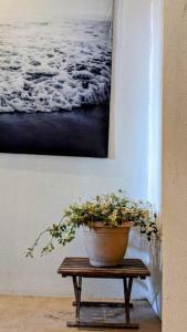 Two Bedroom Affordable Beach Front House