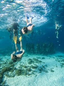 Phòng Đôi (Double Room)