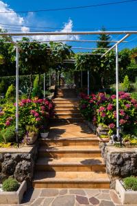 Lumos Residence - Free private parking