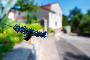 Lumos Residence - Free private parking