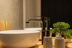 Panoramic Studio 464