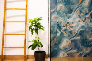 Central Monastiraki Urban Experience