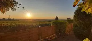 Wohnung in den Weinbergen - Wachenheim an der Weinstraße