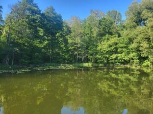 Słoneczne Wzgórze nad Dadajem Domek 1