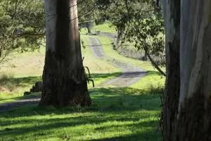 Creekside Cottage, country escape, Rumbellara farm - Macclesfield