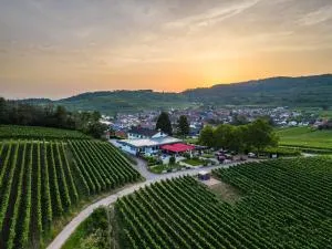 Köpfers Steinbuck - Jechtingen