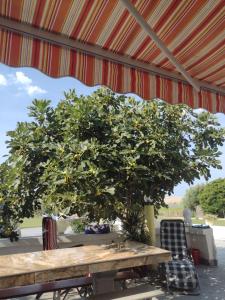 APARTMANI ALEN