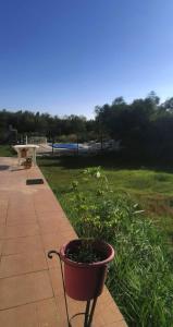 Appartements Plages de camargue et logement dans un site calme de reve : photos des chambres