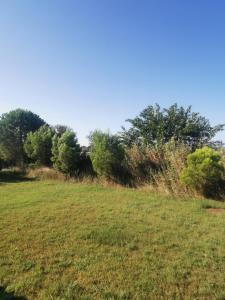Plages de camargue et logement dans un site calme de rêve