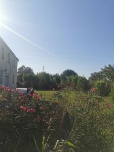 Appartements Plages de camargue et logement dans un site calme de reve : photos des chambres