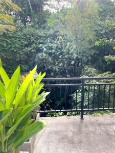 2BR Private Villa in the Heart of Ubud Jungle View & Walk Everywhere