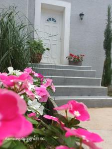 Villas Villa san salvador Torreilles plage : photos des chambres