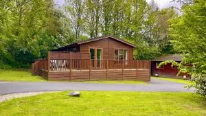 Charming Copse Corner Lodge - Spa Resort - Devon - 牛顿阿伯特