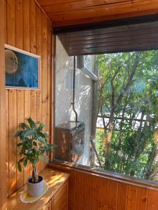 Peaceful home Suvacha