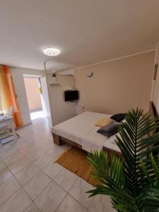 Sunset Apartment Petra