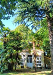B&B / Chambres d'hotes Chez Celia Bed&Breakfast : photos des chambres