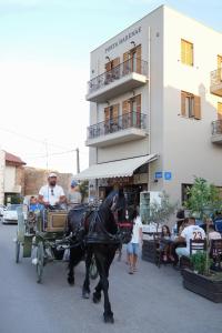 Porta Harenae Residencia