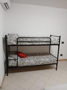 Dreaming Gonzaga Apartments