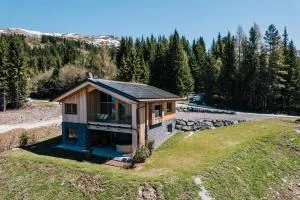Almchalet - Luxus am Fuße der Koralpe - Glashütten