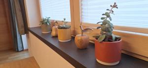 Apartment Wechselberger Tobias & Jaqueline