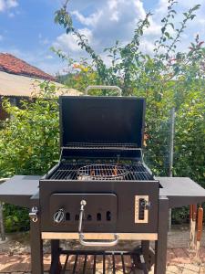 Il Baco da Seta img10