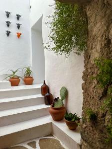 Casa dos Bijos