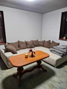 Wilcza Poręba Apartament