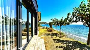 X2 Victory - Makrilies